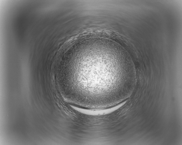 X0000063461489200601231404