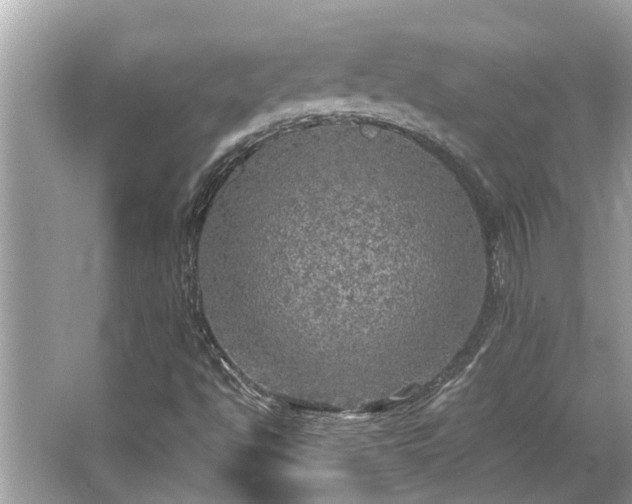 X0000063461494200601231404