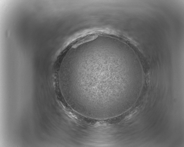 X0000063461496200601231404