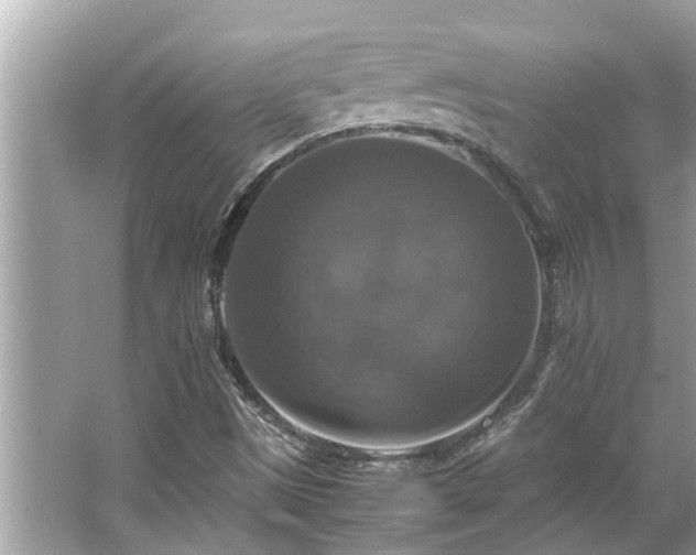 X0000063461497200601231404