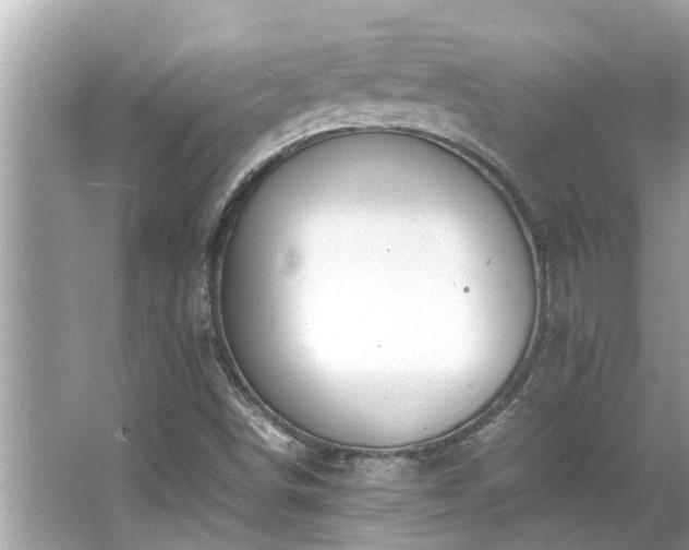 X0000063461498200601231404