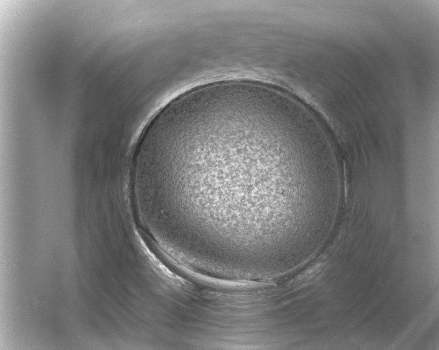 X0000063461500200601231404