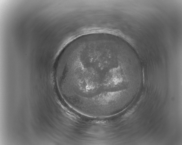 X0000063461501200601231404