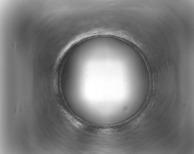 X0000063461502200601231404