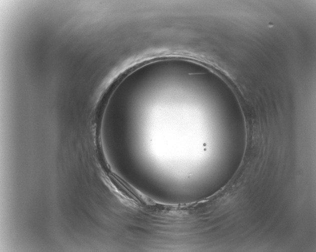 X0000063461503200601231404