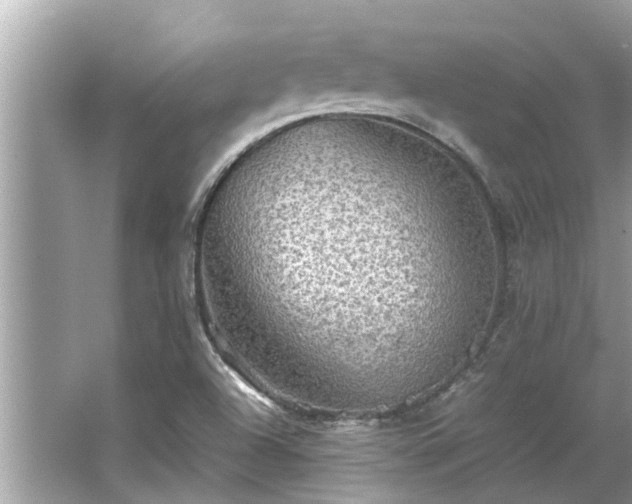 X0000063461504200601231404