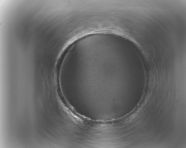 X0000063461506200601231404