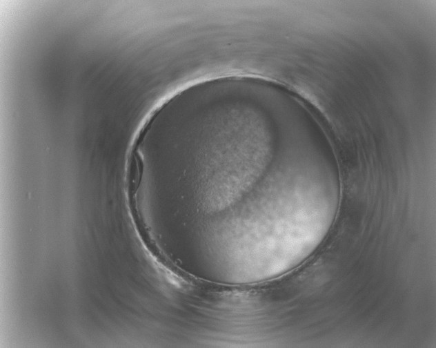 X0000063461508200601231404