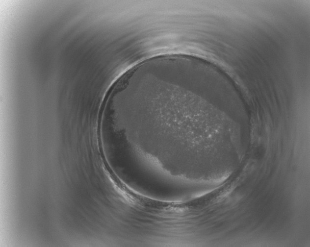 X0000063461513200601231405