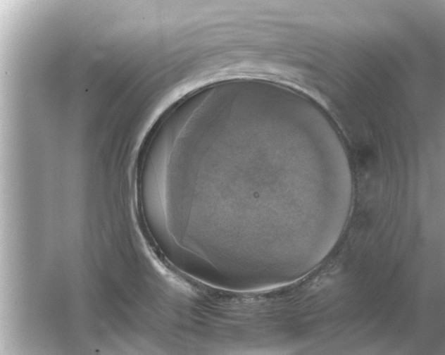 X0000063461515200601231405