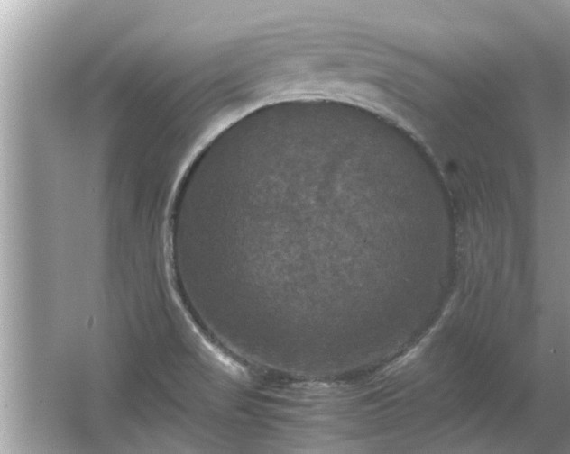 X0000063461517200601231405