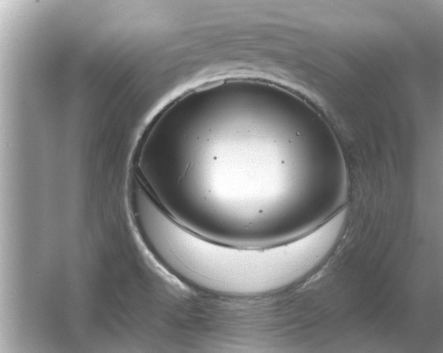 X0000063461518200601231405