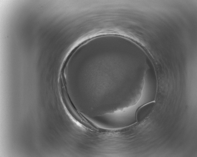 X0000063461519200601231405