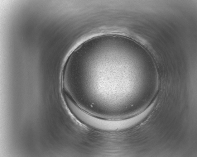 X0000063461520200601231405