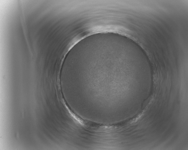 X0000063461521200601231405