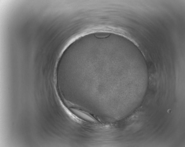 X0000063461523200601231405