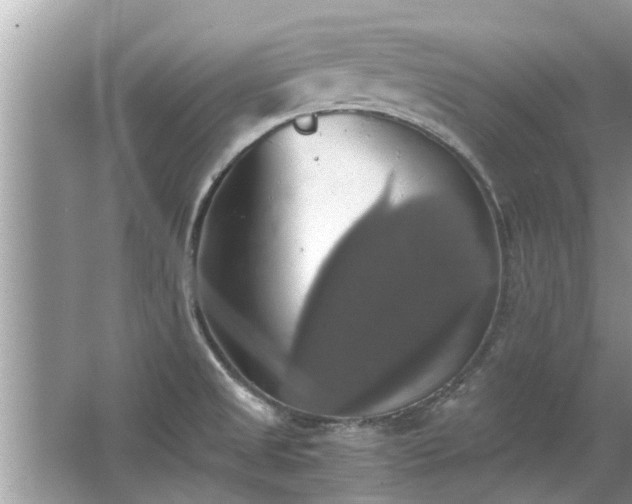 X0000063461525200601231405