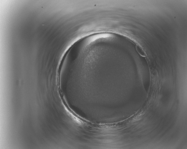 X0000063461527200601231405