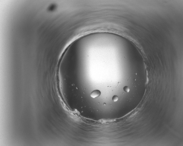 X0000063461530200601231405