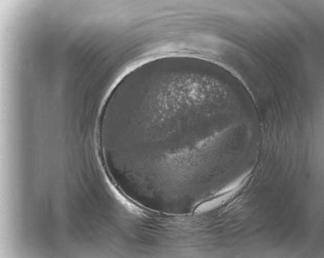 X0000063461531200601231405