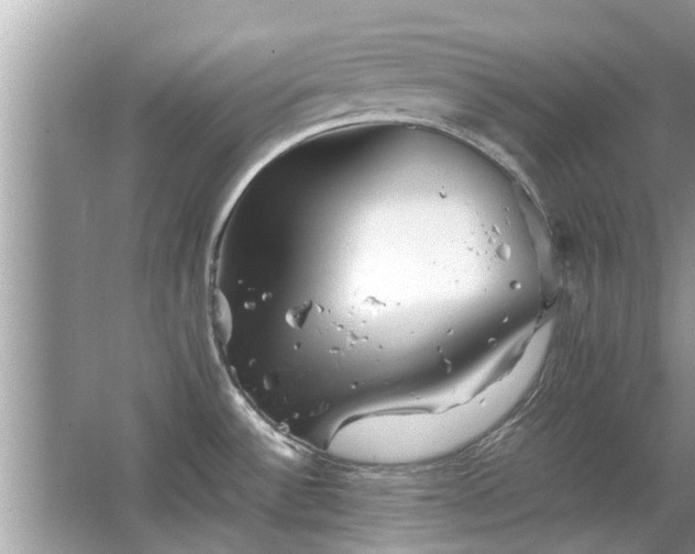 X0000063461532200601231405