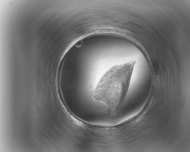 X0000063461533200601231405