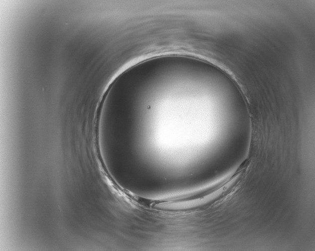 X0000063461534200601231405