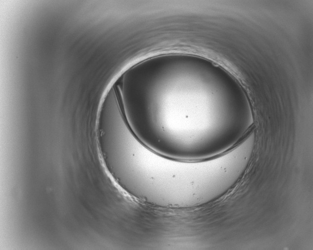 X0000063461536200601231405