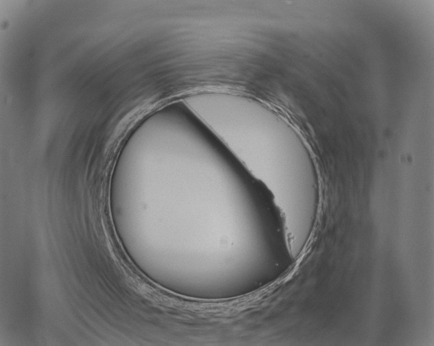 X0000063460001200601271616