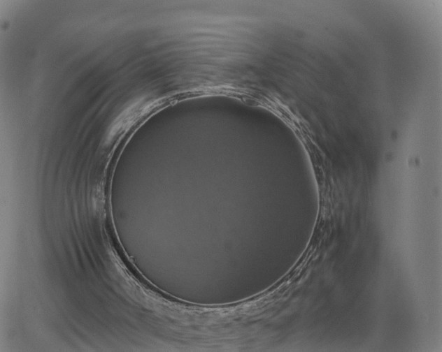 X0000063460002200601271616