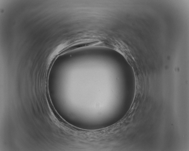 X0000063460003200601271616