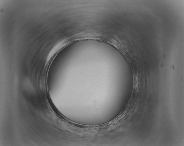 X0000063460004200601271616