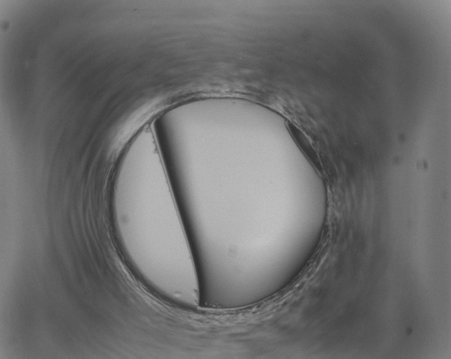 X0000063460005200601271616