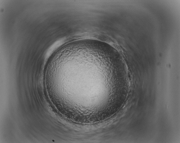 X0000063460006200601271616