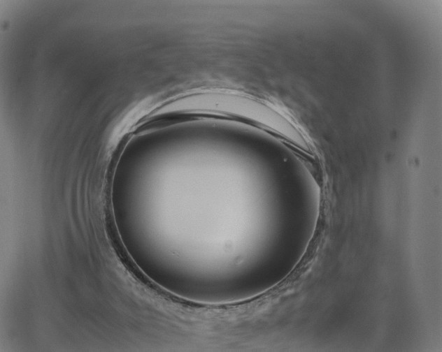 X0000063460007200601271616