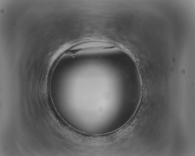 X0000063460008200601271616