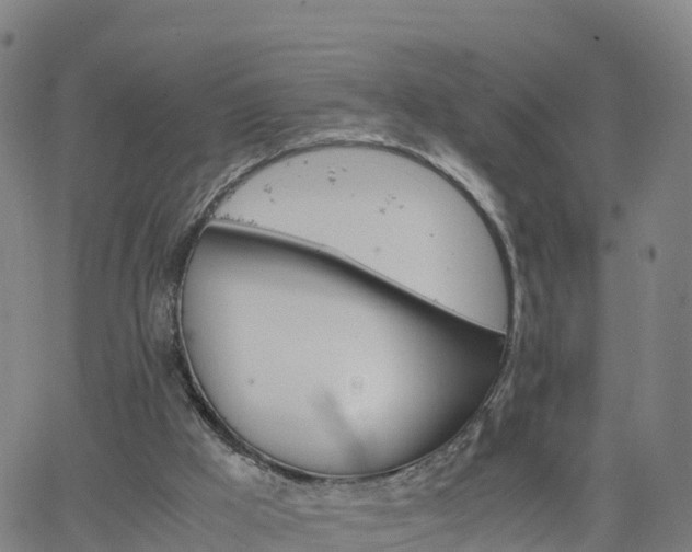 X0000063460009200601271616