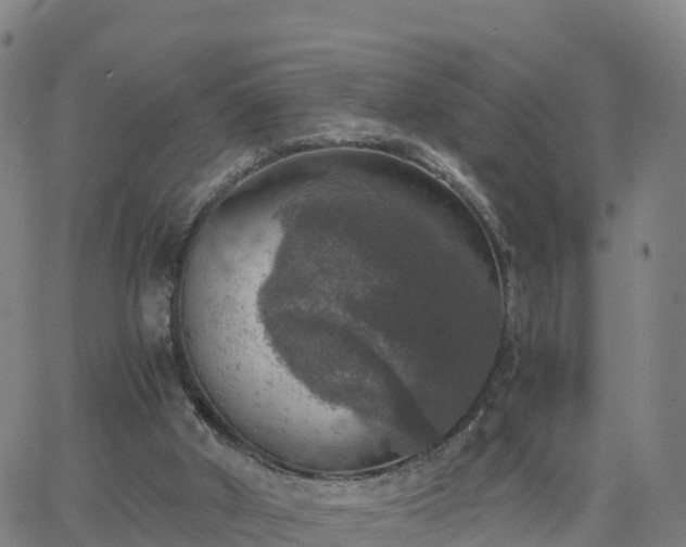 X0000063460010200601271616