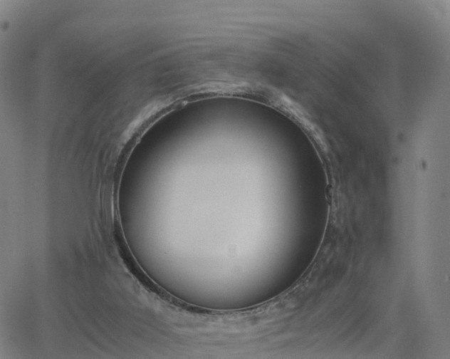 X0000063460011200601271616