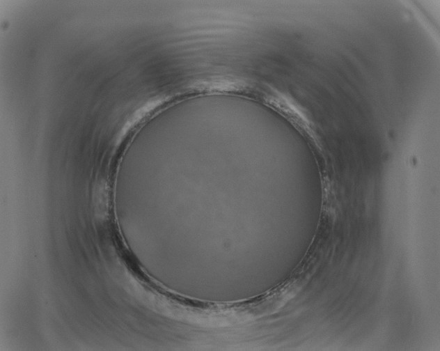 X0000063460012200601271616