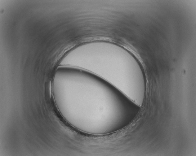 X0000063460013200601271616