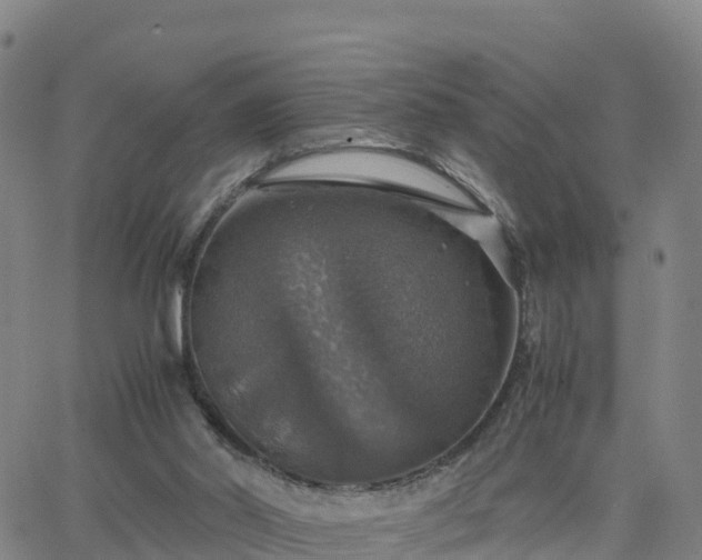 X0000063460014200601271616