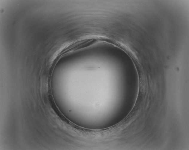 X0000063460015200601271616