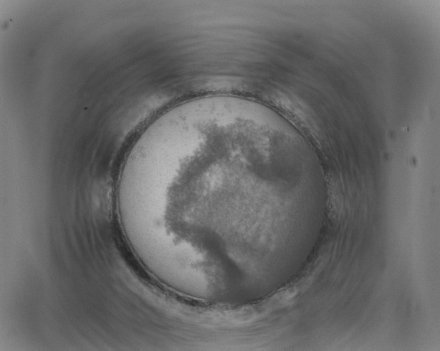 X0000063460016200601271616