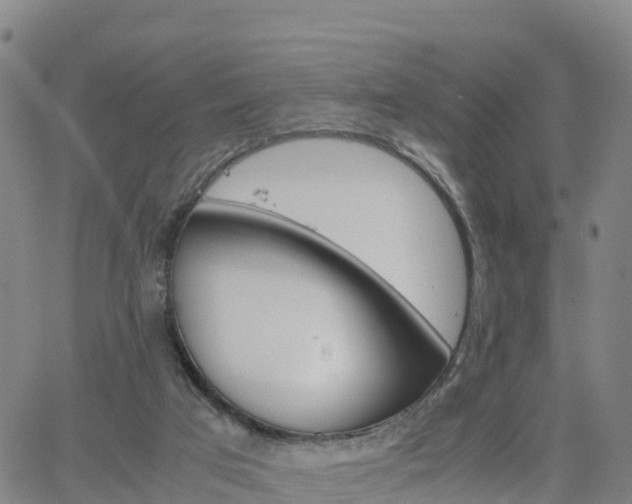 X0000063460017200601271616