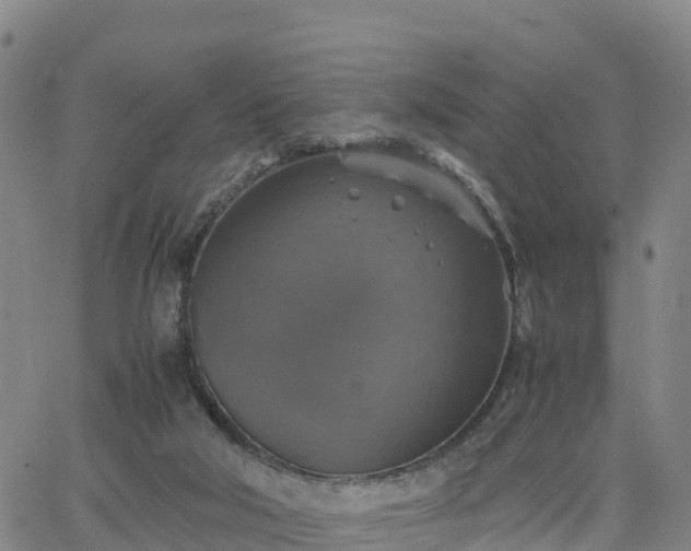 X0000063460018200601271616