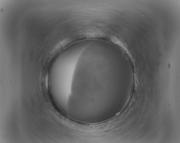 X0000063460019200601271616