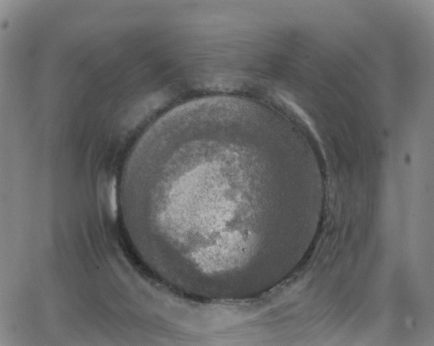 X0000063460020200601271616