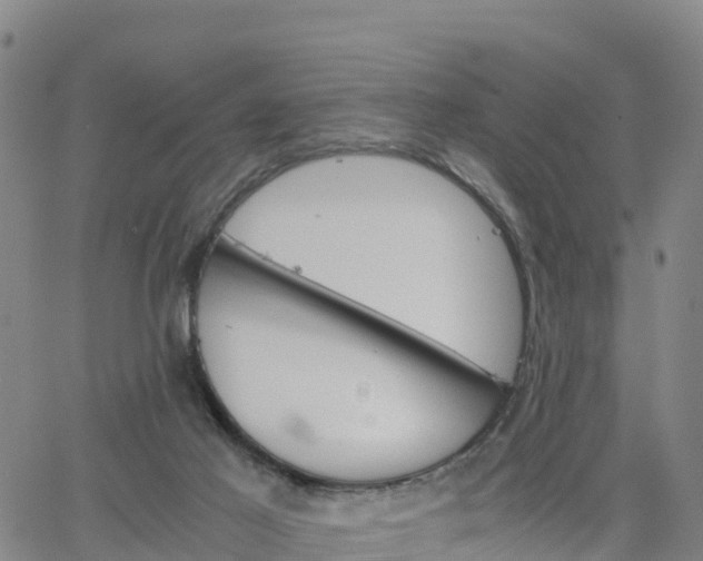 X0000063460021200601271616