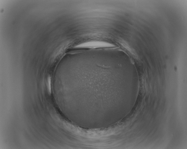 X0000063460022200601271616